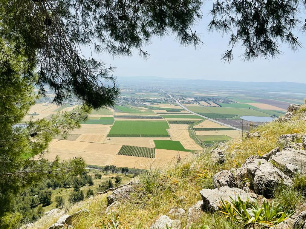 Prophetic Journey to Mount Precipice
