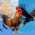 Rania’s Vision of the Eagle and the Rooster – A call to Prayer on Yom Kippur